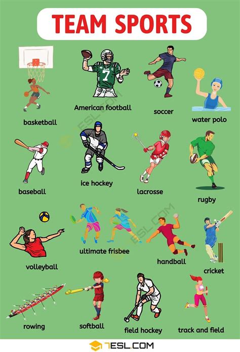 30 Partner Sports List (sorted by Popularity).